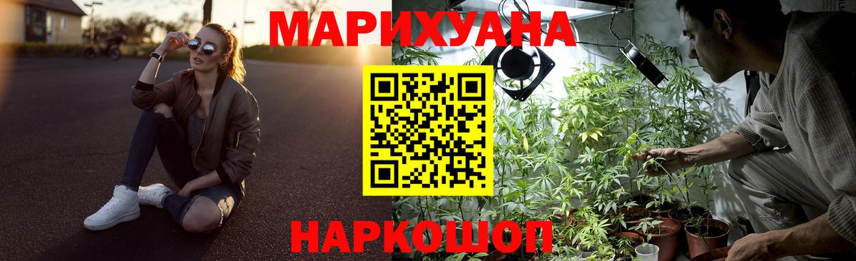 Бошки Шишки марихуана  Вход с VPN  Бошки марихуана планчик  Бошки марихуана Bruce Banner  Рославль  Каннабис план 